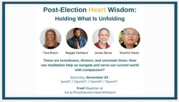 Dr. Tara Brach Zoom Meeting