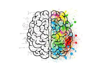 Brain Health and Meditation